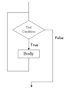 While Loop