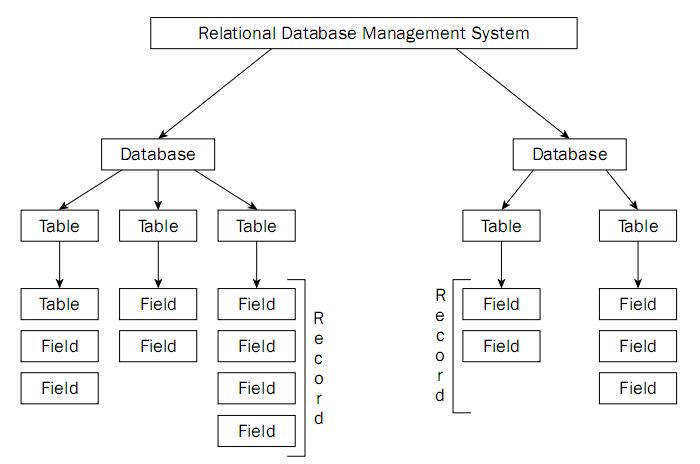 Relational Database Management System